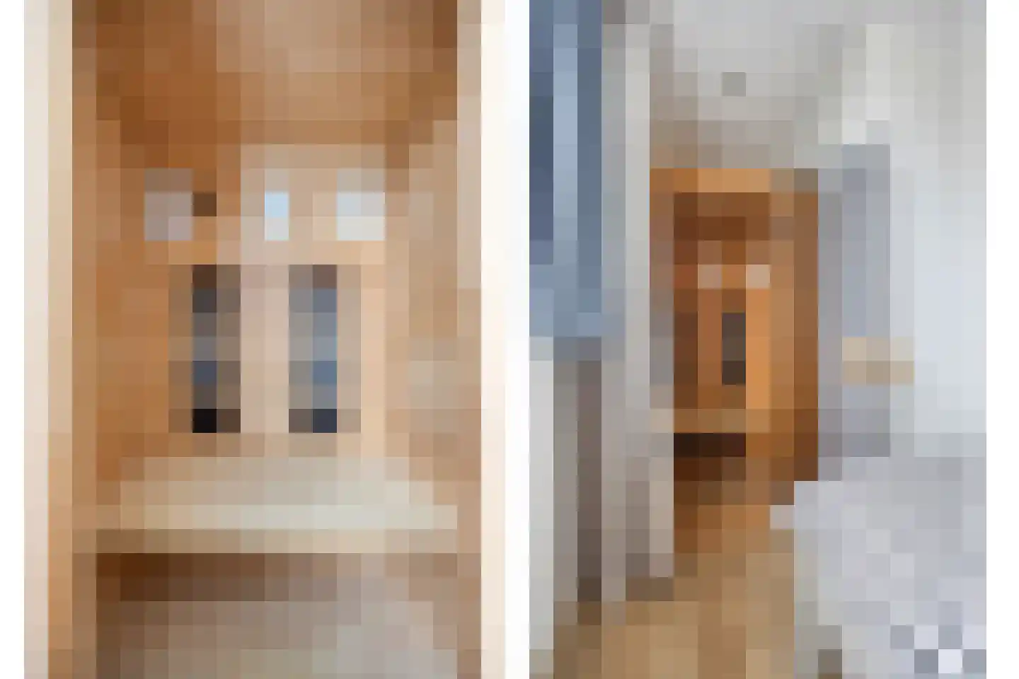 Louise Michelstraat 5 Arnhem thumbnail 25