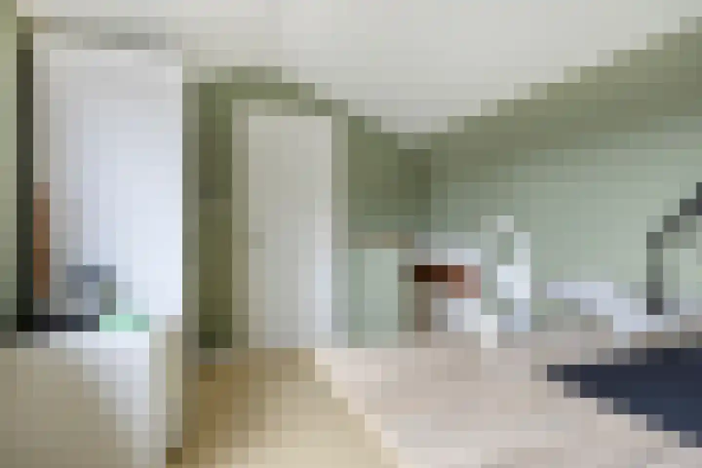 Louise Michelstraat 5 Arnhem thumbnail 27