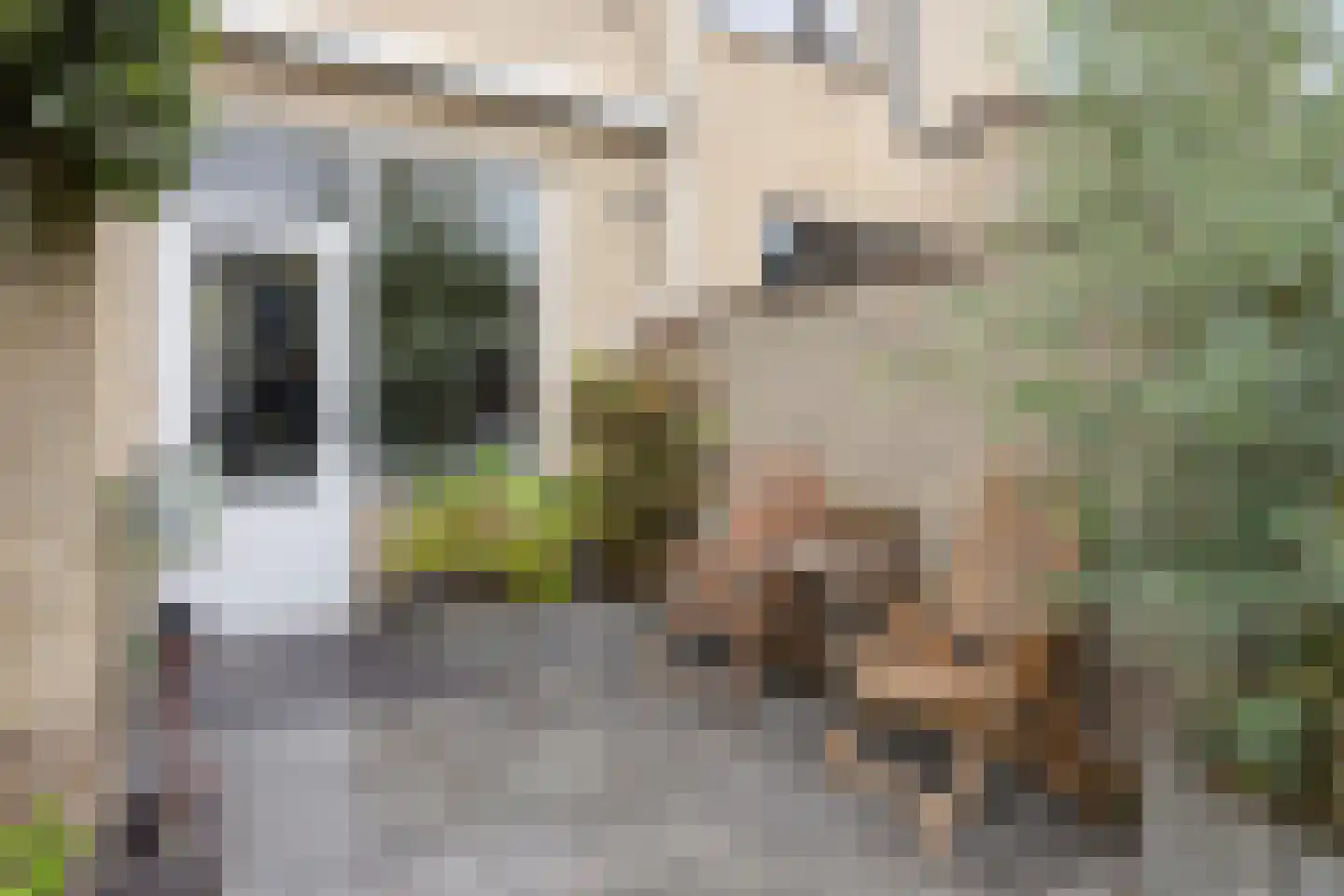 Louise Michelstraat 5 Arnhem thumbnail 33