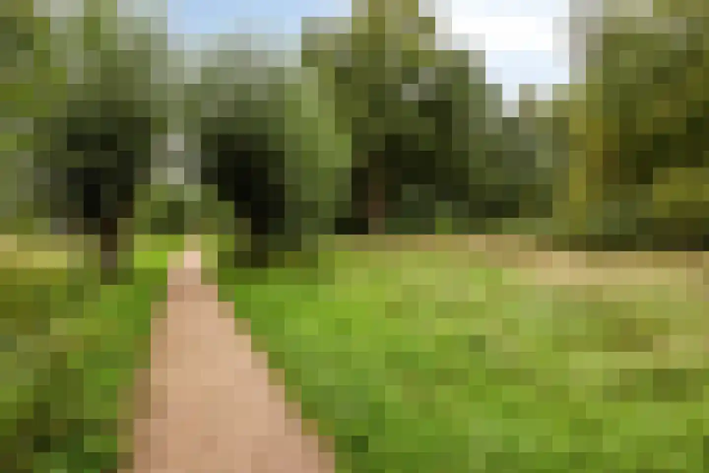 Louise Michelstraat 5 Arnhem thumbnail 37