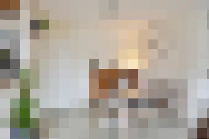 Louise Michelstraat 7 Arnhem thumbnail 10