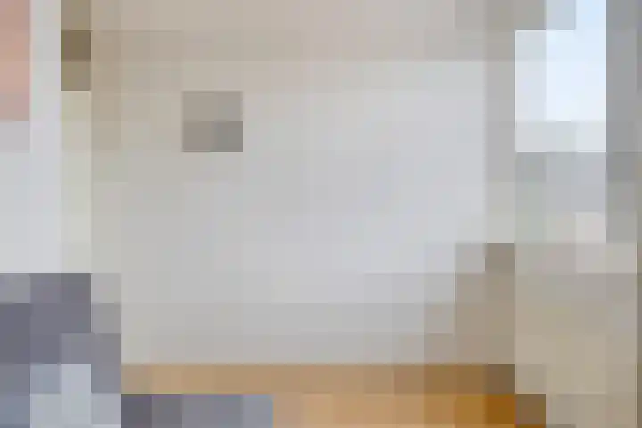 Louise Michelstraat 8 Arnhem thumbnail 23
