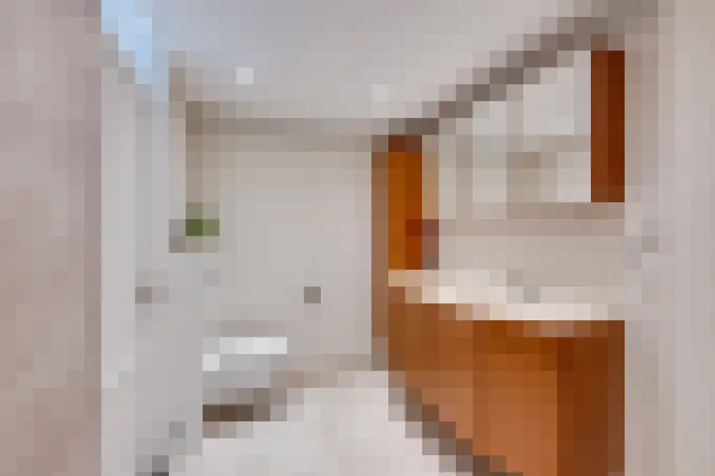 Louise Stratenusstraat 7 Breda thumbnail 26