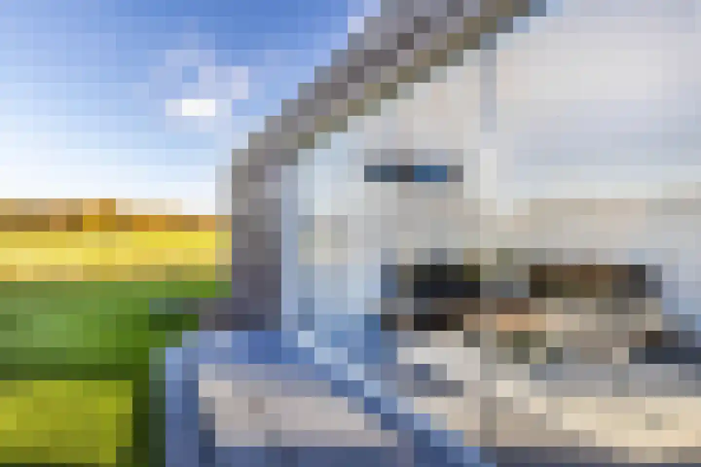 Louisegroeveweg 1 Urmond thumbnail 34