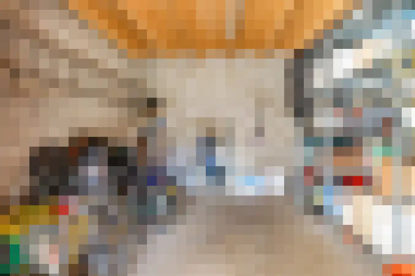 Louisegroeveweg 1 Urmond thumbnail 36