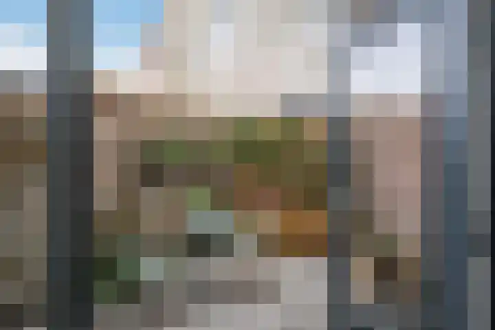 Louisestraat 10 Tholen thumbnail 11