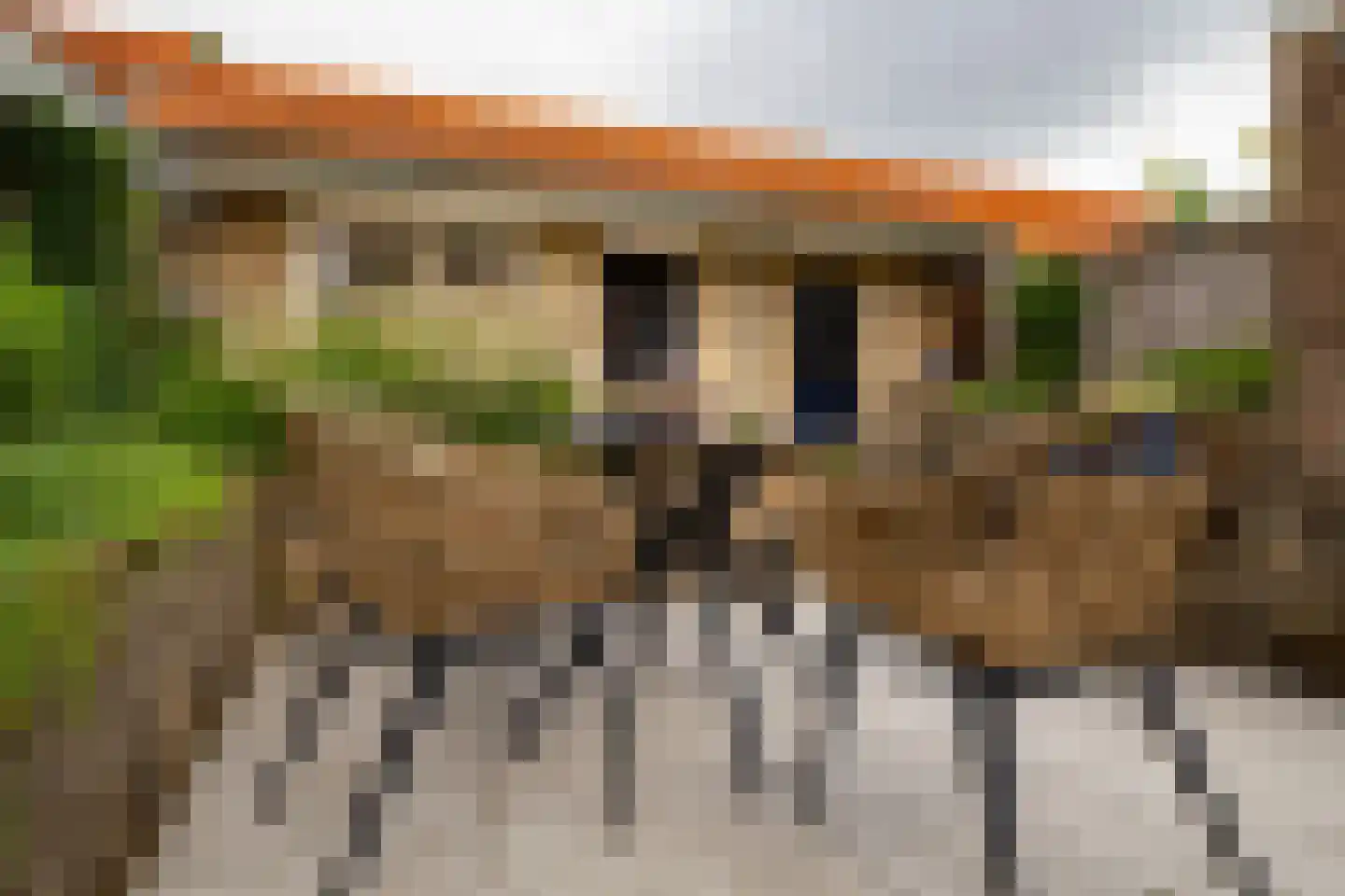 Louisestraat 16 Hengelo thumbnail 32