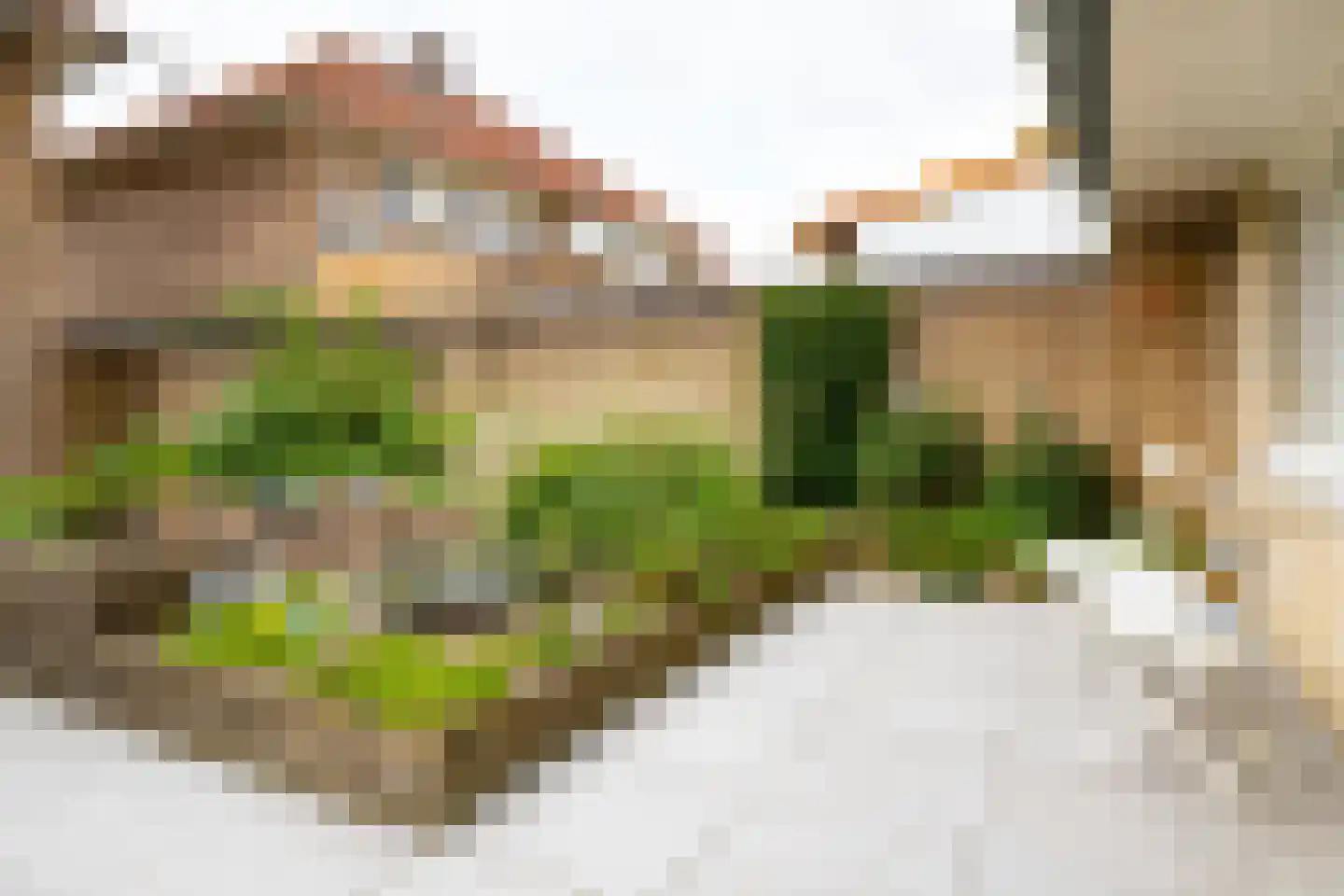 Louisestraat 16 Hengelo thumbnail 34