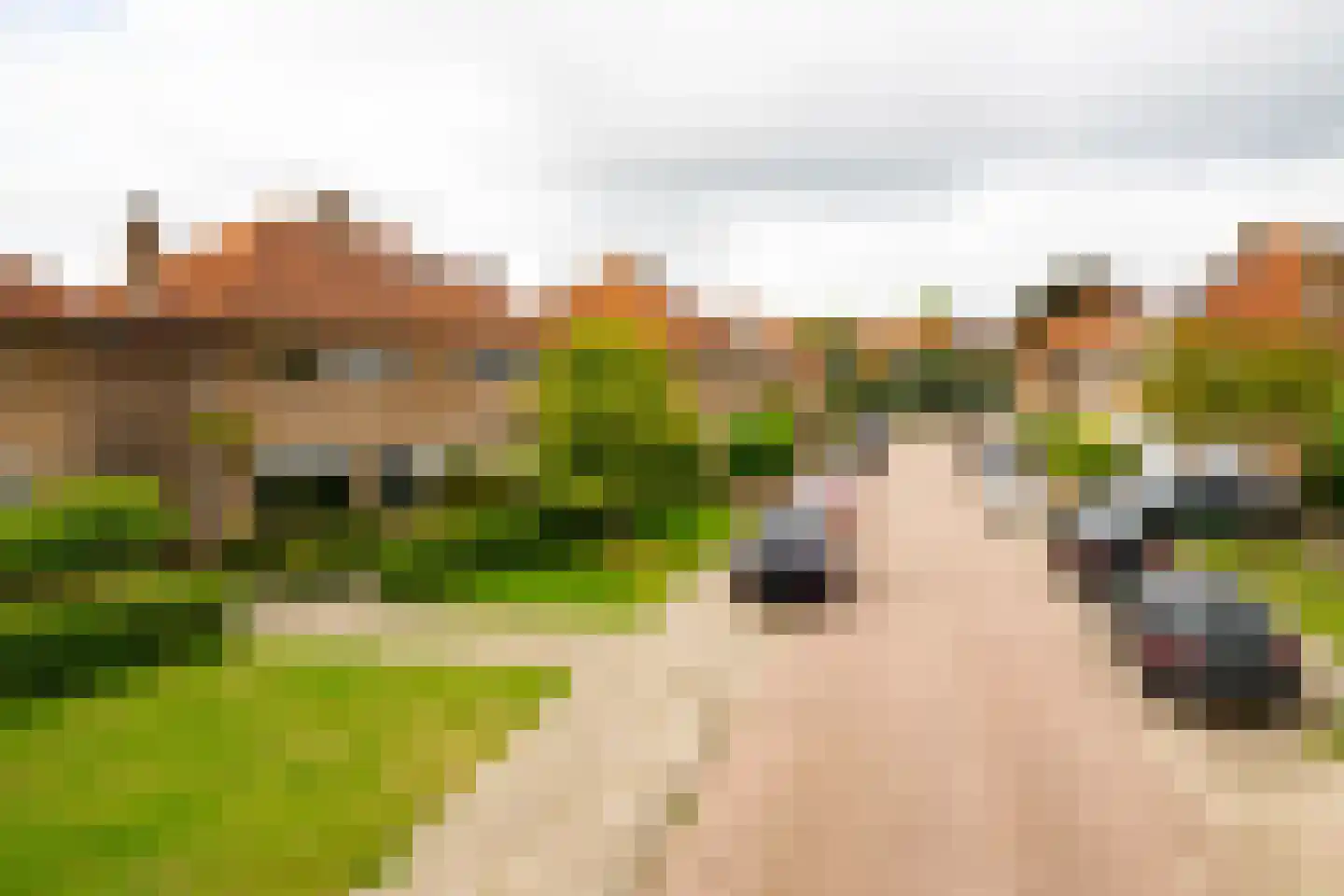Louisestraat 16 Hengelo thumbnail 39