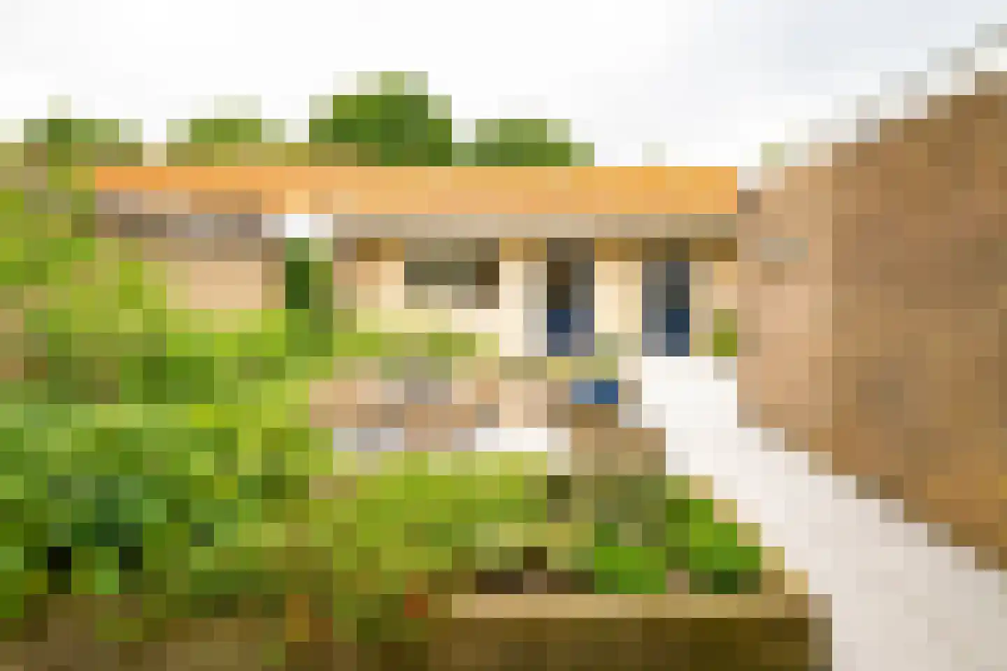 Louisestraat 16 Hengelo thumbnail 4