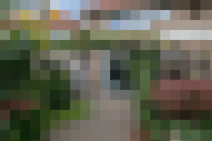 Louisestraat 21 Hengelo thumbnail 32