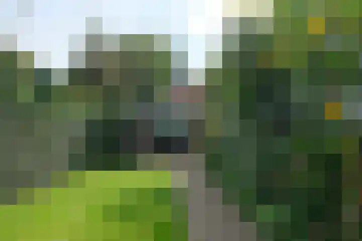 Louisestraat 21 Hengelo thumbnail 35