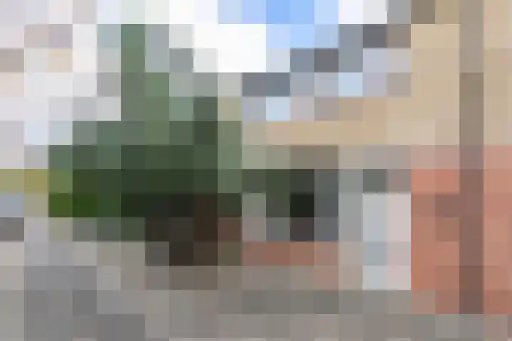 Lourdesstraat 9 Kerkrade thumbnail 34