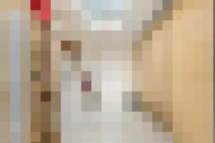 Lourens Bogtmanstraat 25 Oudkarspel thumbnail 18