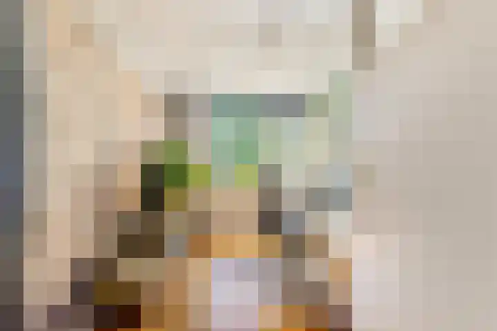 Lourens Bogtmanstraat 25 Oudkarspel thumbnail 29