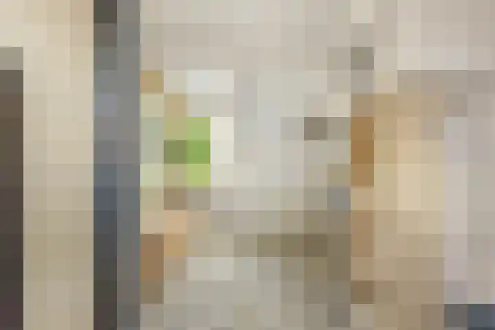 Lourens Bogtmanstraat 25 Oudkarspel thumbnail 33