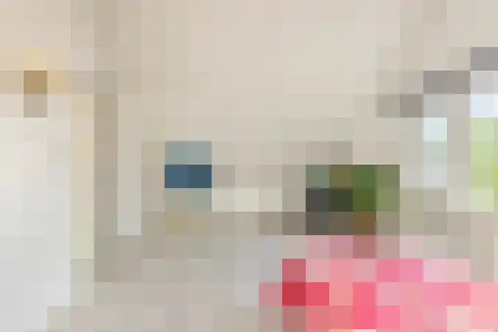 Lourens Bogtmanstraat 25 Oudkarspel thumbnail 34
