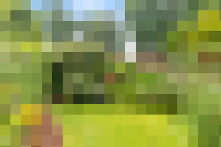 Lourens Bogtmanstraat 25 Oudkarspel thumbnail 5