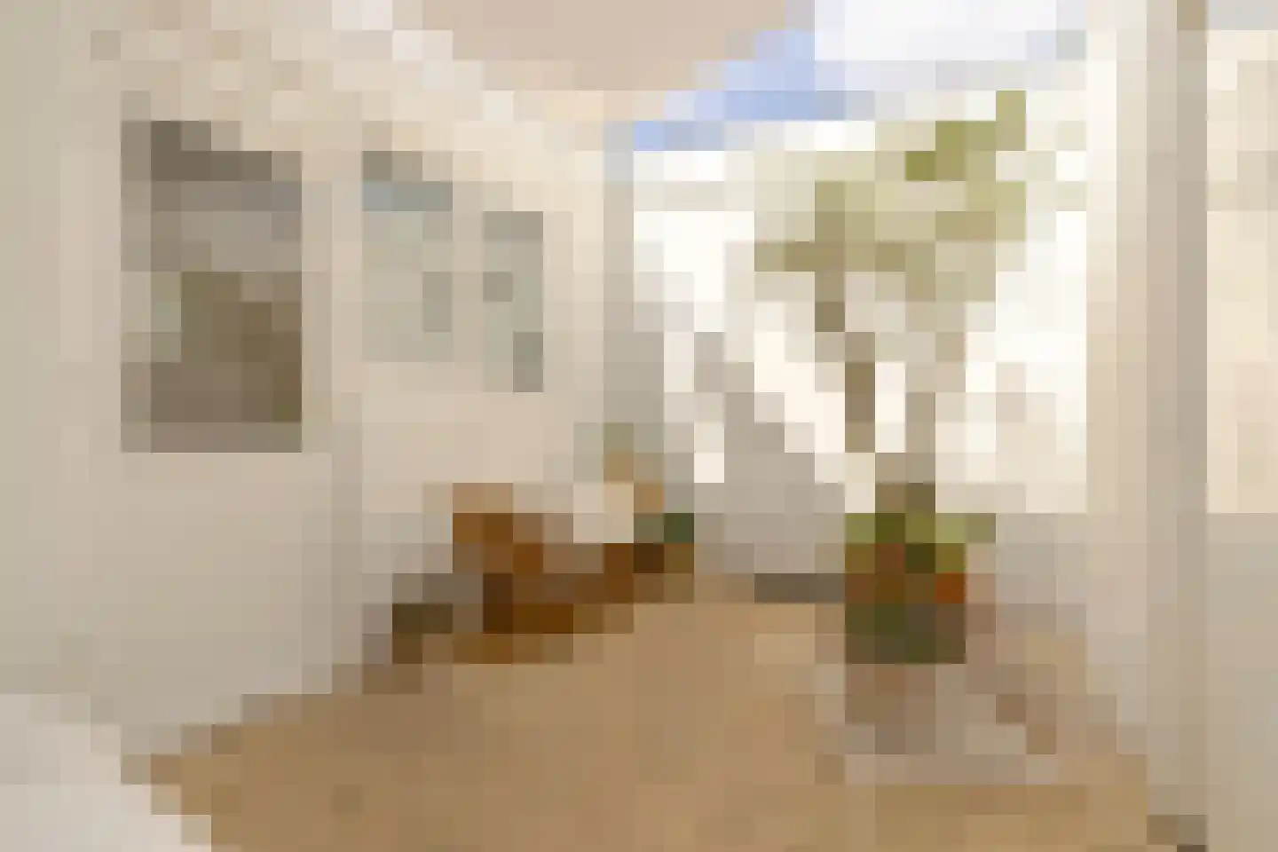 Lourens Costerstraat 13 Haarlem thumbnail 21