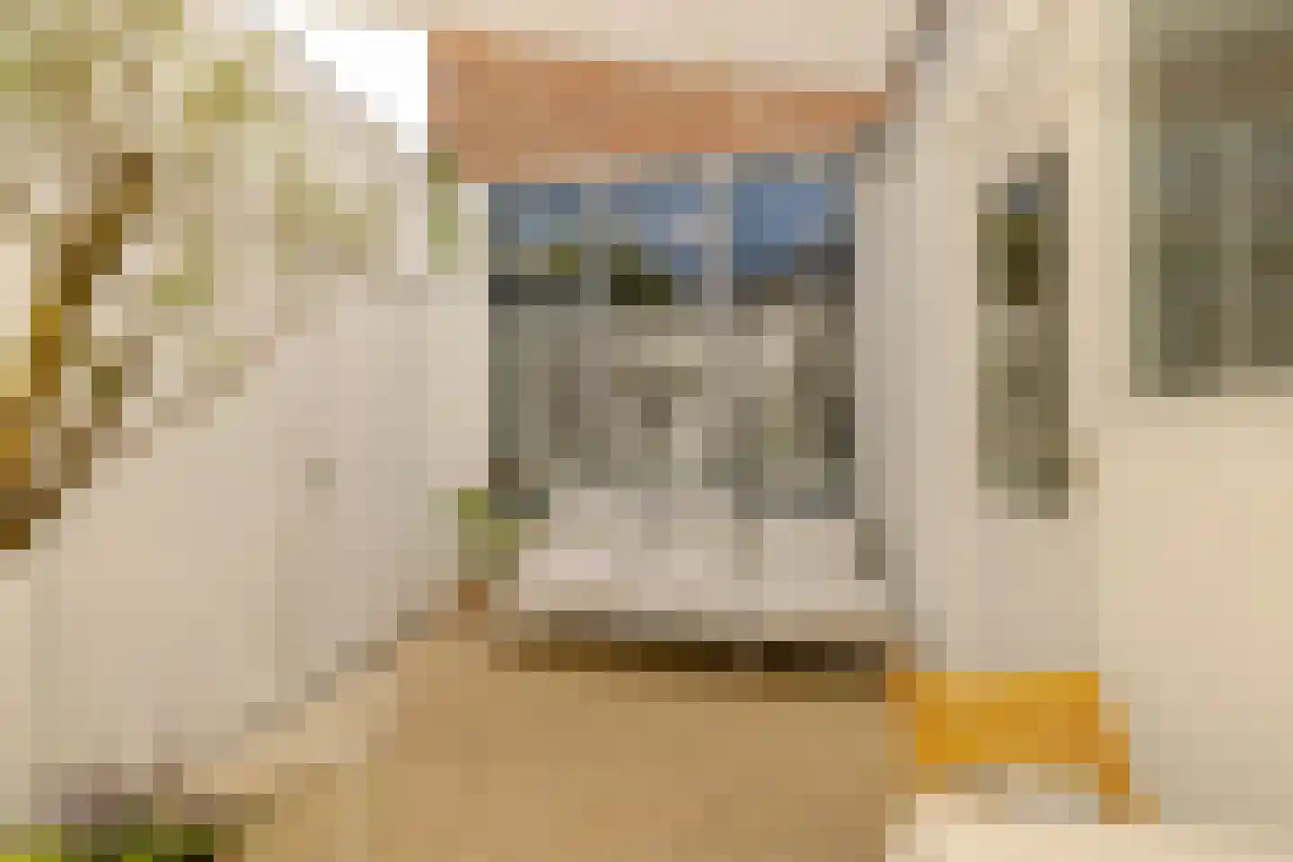 Lourens Costerstraat 13 Haarlem thumbnail 22