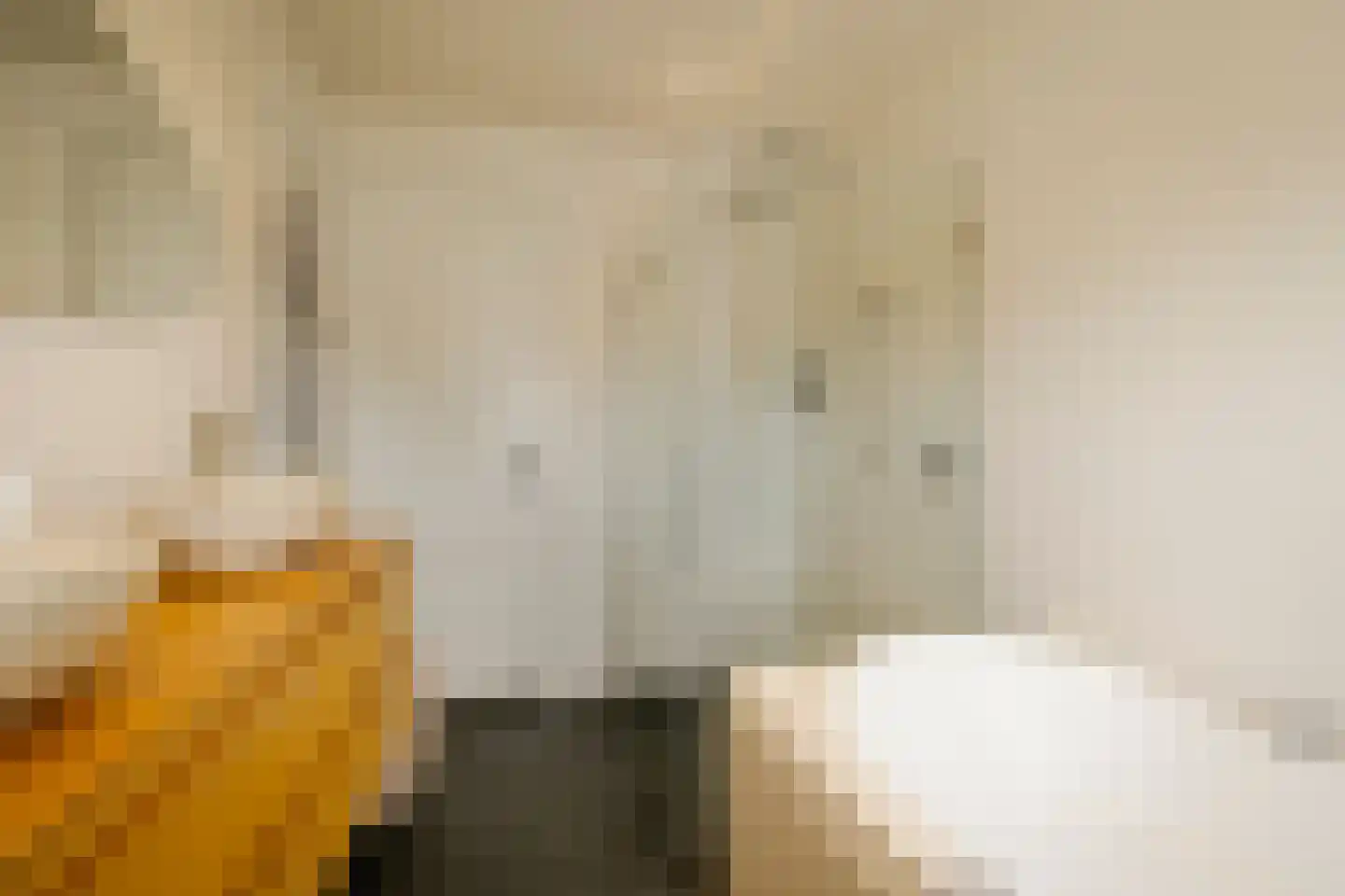 Lourens Costerstraat 13 Haarlem thumbnail 32