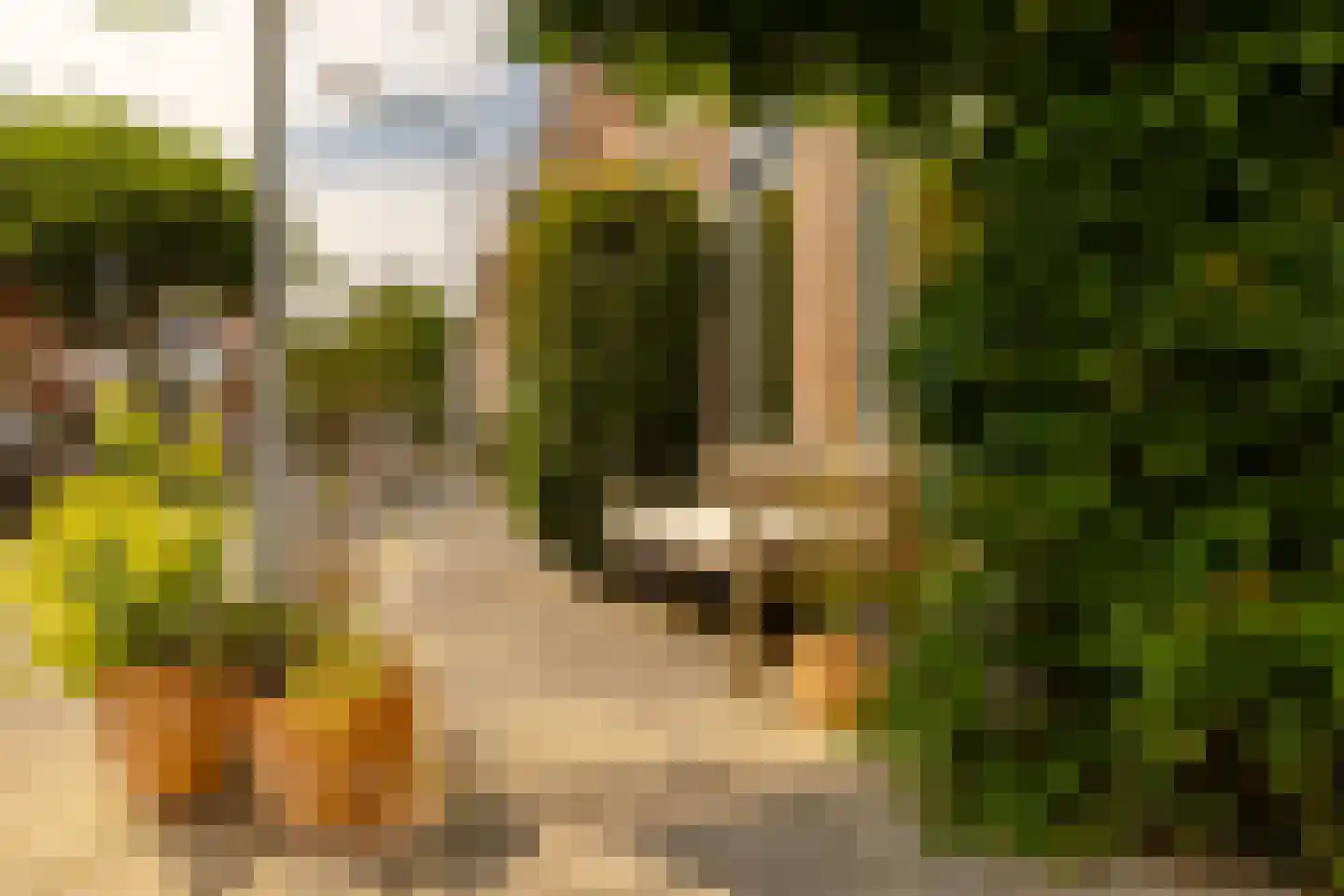 Lourens Costerstraat 13 Haarlem thumbnail 43