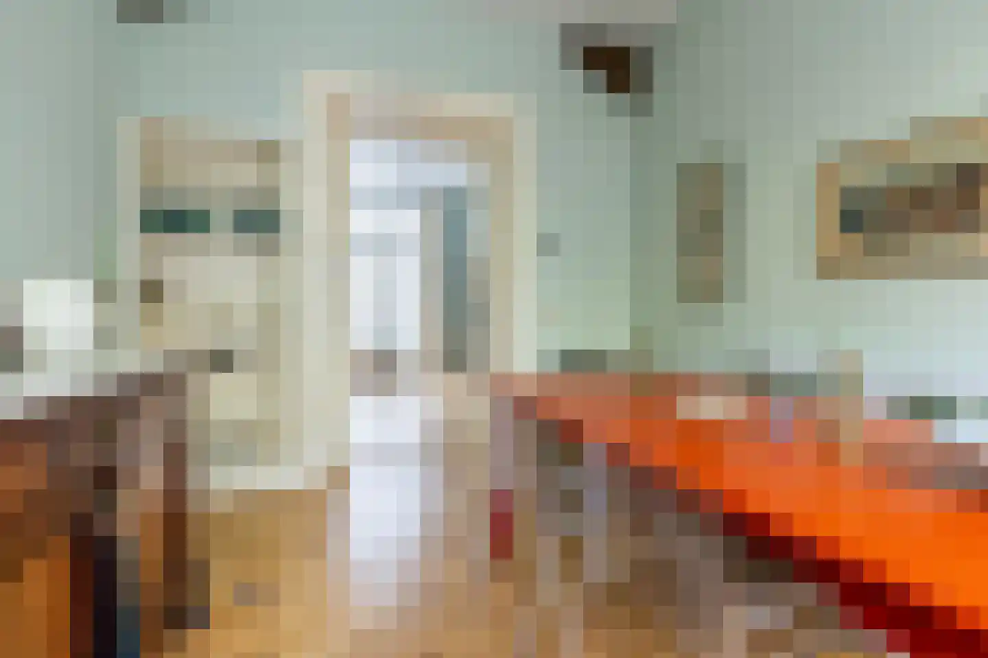 Lourens Costerstraat 14 Haarlem thumbnail 14