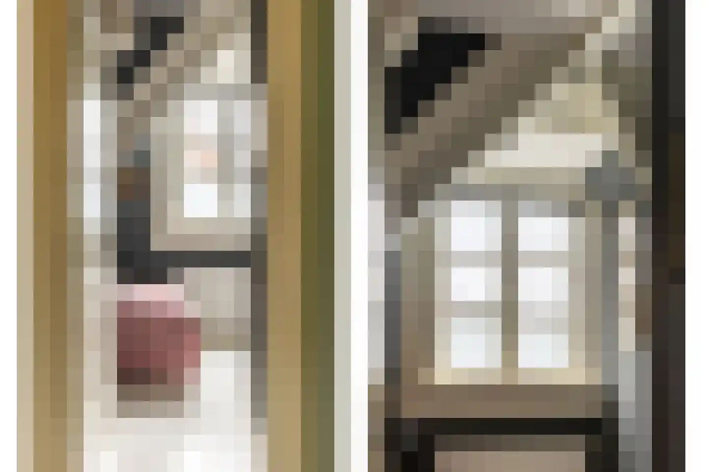 Lourens Costerstraat 14 Haarlem thumbnail 29