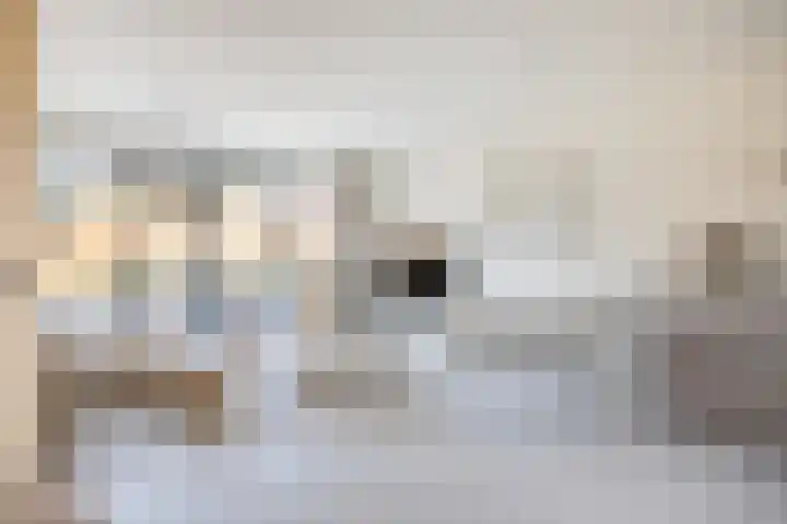 Lous van Beusekomlaan 105 Breda thumbnail 13