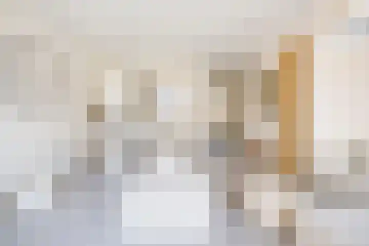 Lous van Beusekomlaan 105 Breda thumbnail 17