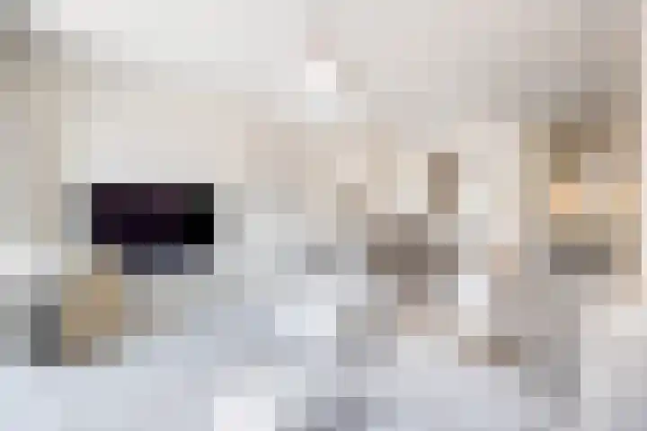 Lous van Beusekomlaan 105 Breda thumbnail 18
