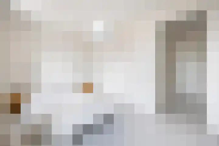 Lous van Beusekomlaan 105 Breda thumbnail 26