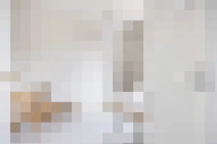 Lous van Beusekomlaan 105 Breda thumbnail 27