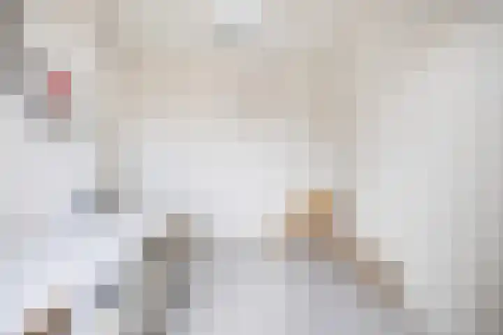 Lous van Beusekomlaan 105 Breda thumbnail 29