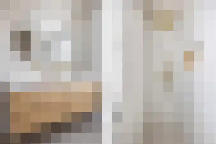 Lous van Beusekomlaan 105 Breda thumbnail 34