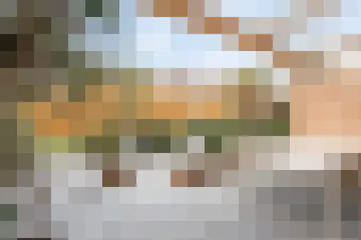 Lous van Beusekomlaan 105 Breda thumbnail 37