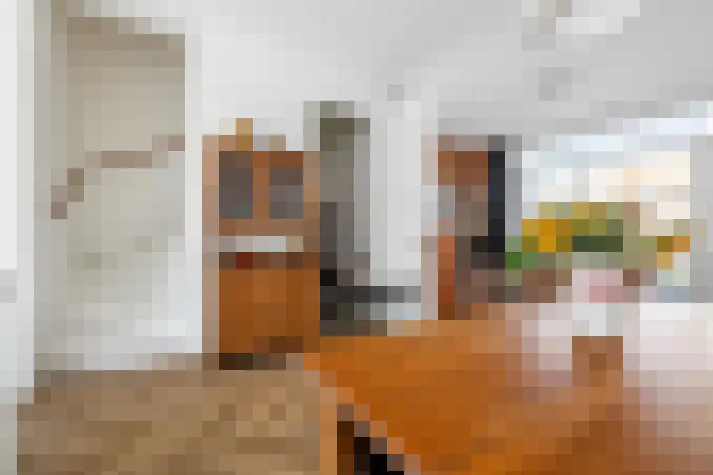Lous van Beusekomlaan 61 Breda thumbnail 20