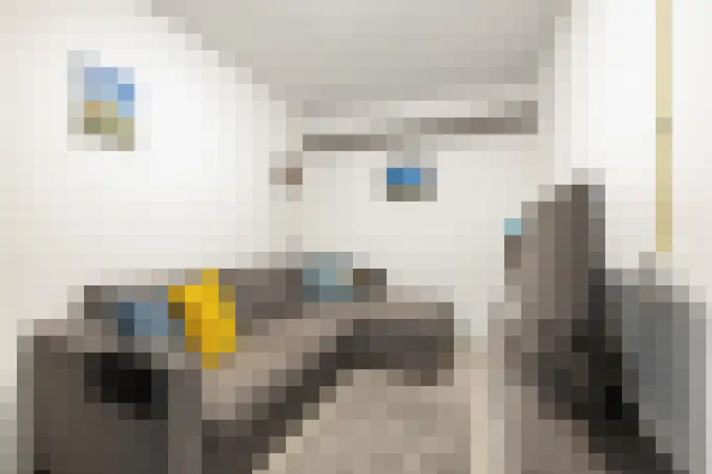 Lous van Beusekomlaan 61 Breda thumbnail 21