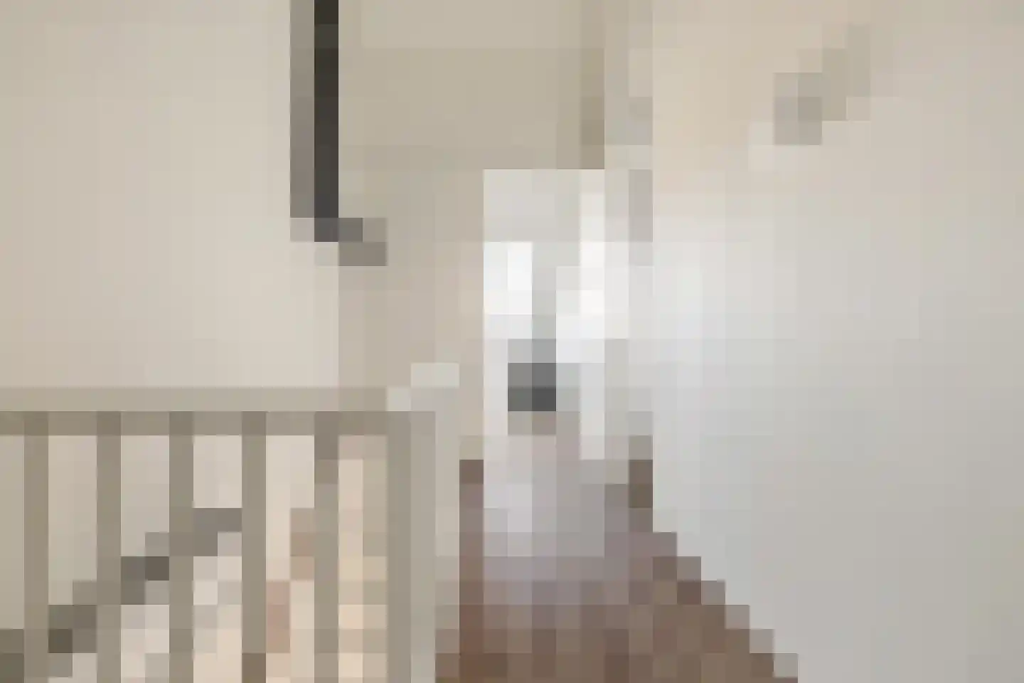 Lous van Beusekomlaan 61 Breda thumbnail 37