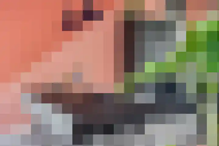 Lous van Beusekomlaan 89 Breda thumbnail 14