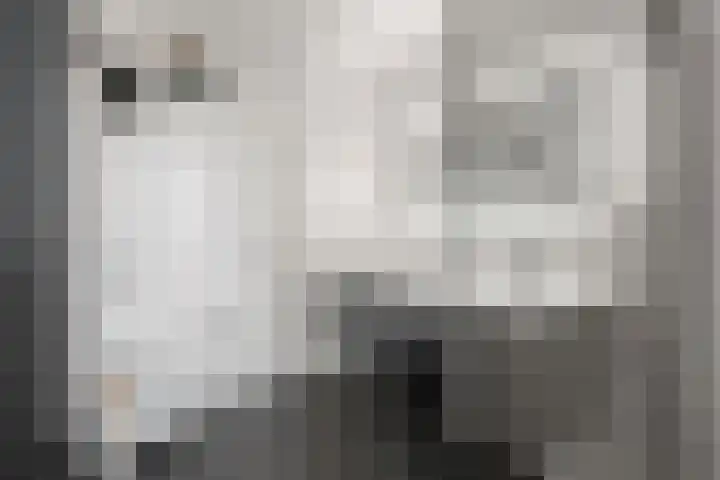 Lous van Beusekomlaan 89 Breda thumbnail 21