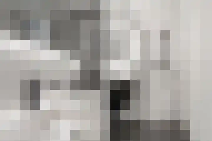 Lous van Beusekomlaan 89 Breda thumbnail 22