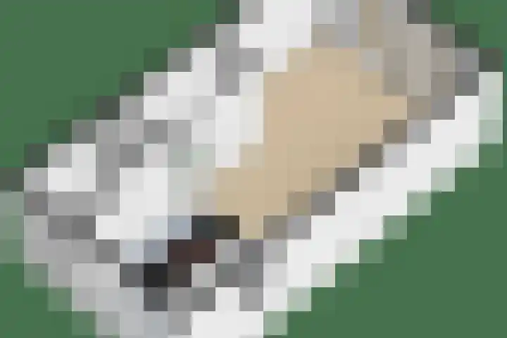 Lous van Beusekomlaan 89 Breda thumbnail 42