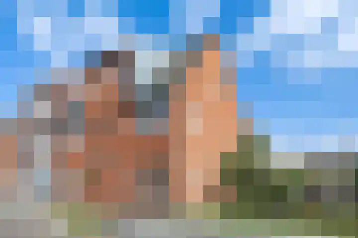 Lous van Beusekomlaan 89 Breda thumbnail 51