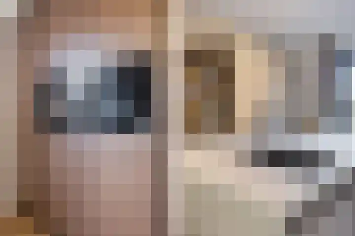 Lous van Beusekomlaan 95 Breda thumbnail 13