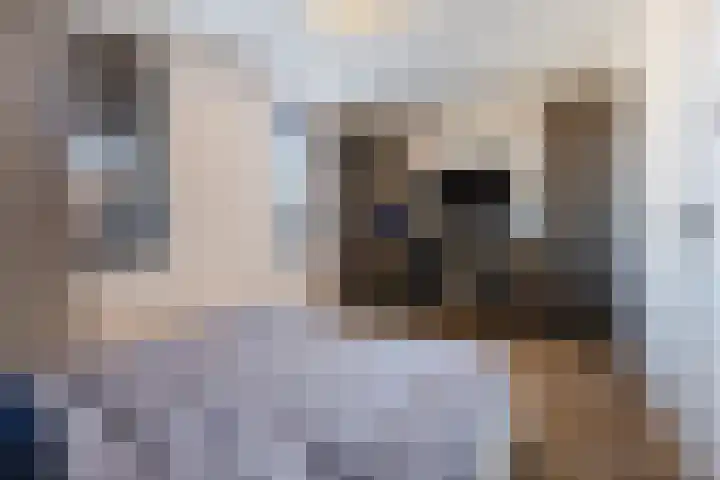 Lous van Beusekomlaan 95 Breda thumbnail 21