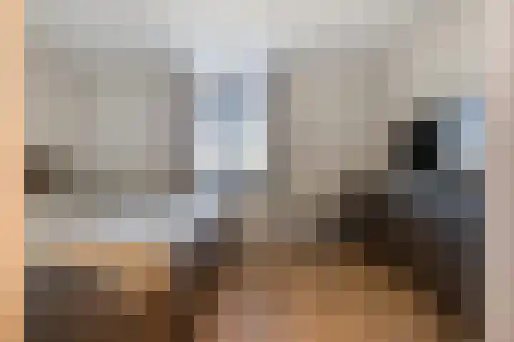 Lous van Beusekomlaan 95 Breda thumbnail 30