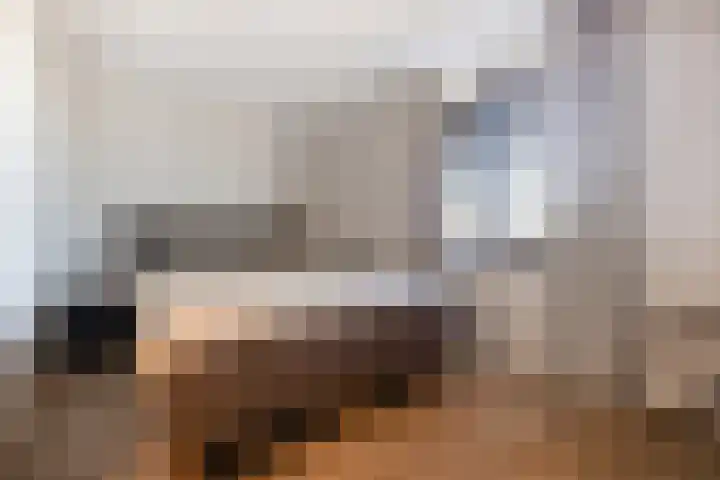 Lous van Beusekomlaan 95 Breda thumbnail 31