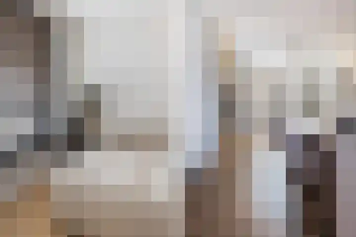 Lous van Beusekomlaan 95 Breda thumbnail 9