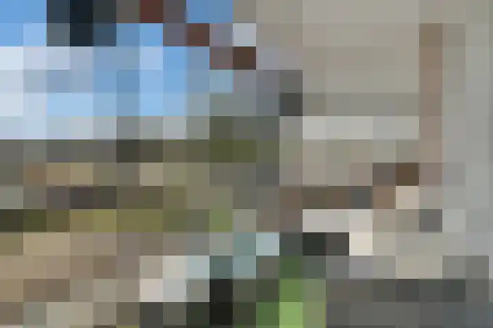 Louvre 160 Capelle aan den IJssel thumbnail 18